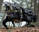 BigDog is Watching You! The Sci-fi Future of Animal and Insect Drones