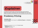  Explainer | Predatory Pricing 