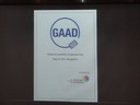 Global Accessibility Awareness Day (GAAD 2013) - CIS panel